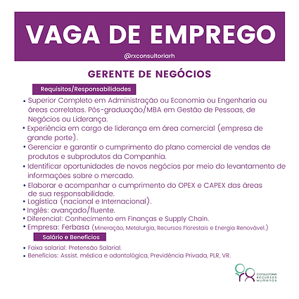 gerente de negocios.png