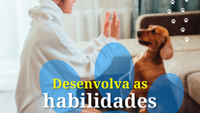 O quê é Adestramento de cães?