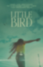 LittleBirdPoster_11x17.jpg