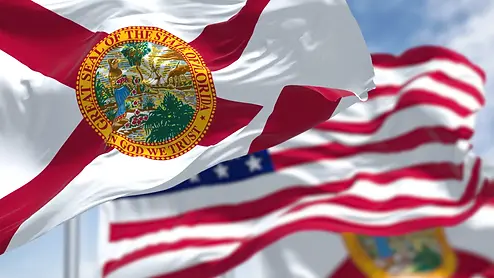 Florida american flag.webp