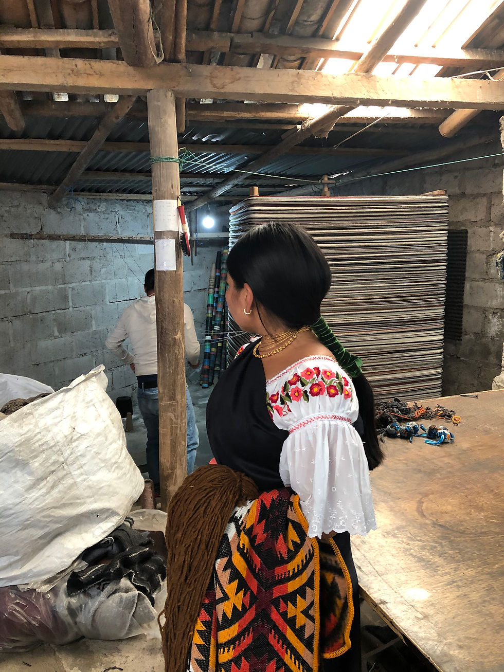 Ecuadorian indigenous people are grouped