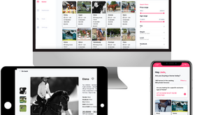 Why we buy & sell horses with Bridl?