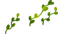 青草01.png