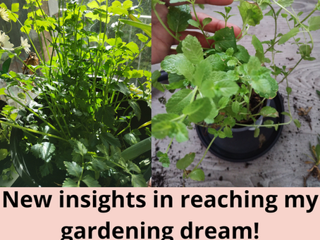New insights for reaching my gardening dreams