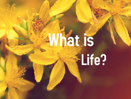 What is life?