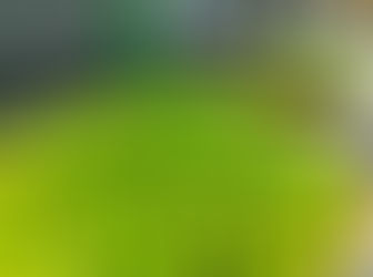 地元資源を活用✨青梅風呂