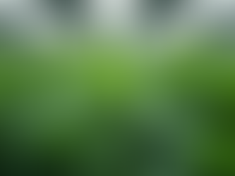 Understanding Safety Standards for Hemp Products