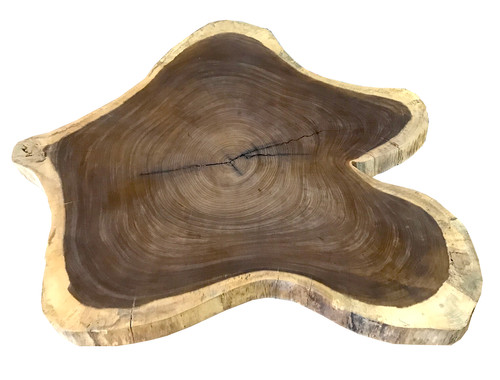 IROKO TISCHPLATTE / BAUMSCHEIBE | holztisch