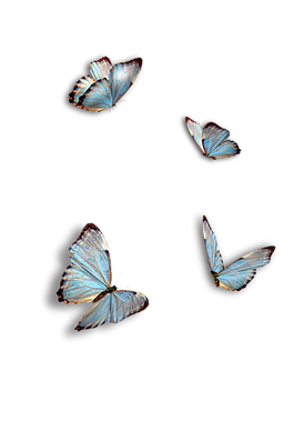 Untitled design (17).png