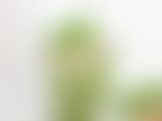 Smoothie Verde com Abacate e Hortelã