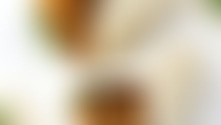 Wrap com Tofu Crocante e Cogumelos