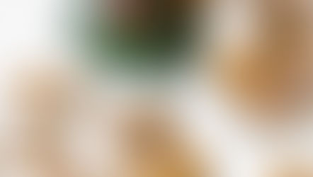 Bolachas de Natal com Canela e Gengibre - Vegan e Sem Glúten