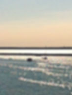 Provincetown Morning