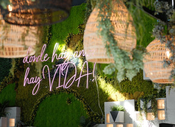 Vida Cocina & Tequila Decoration 