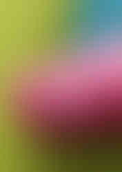 Logo designed by Ckoncepts for Tequila's Mexican Kitchen.