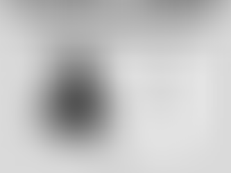 From “Bullshido” to “Screen-Scare-Do”: When Confidence Replaces Evidence in Digital Literacy and Online Safety