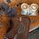 Thumbnail: "Make it real" shoulder bag, chocolate suede