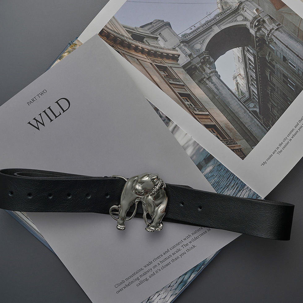 Thumbnail: "Wild one" leather belt