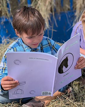 mles book.jpg