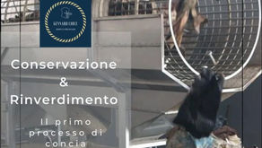 Conservazione e rinverdimento delle pelli grezze