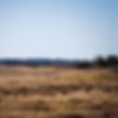 FBEC1F78-5983-4A6D-BD17-D3B5241B20E5.JPG