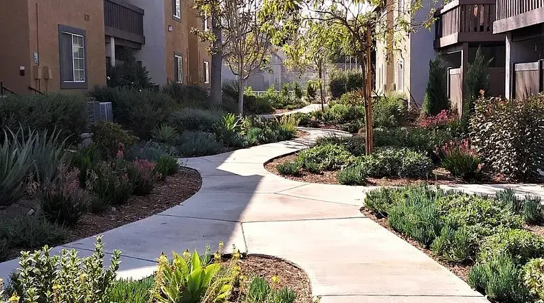 Apartamento en Renta 1bed 1bath