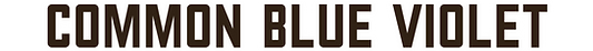 cbv.png