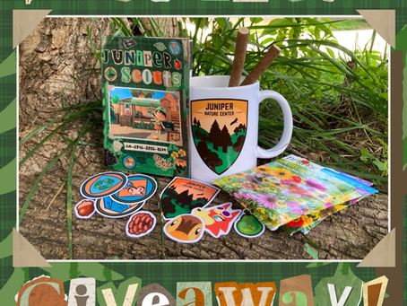 Juniper's Giveaway is Live!