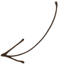 arrow.png