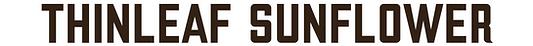 ts.png
