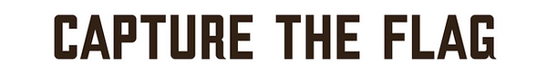 capturetheflag text (1).png