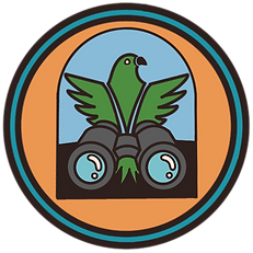birding (1).png