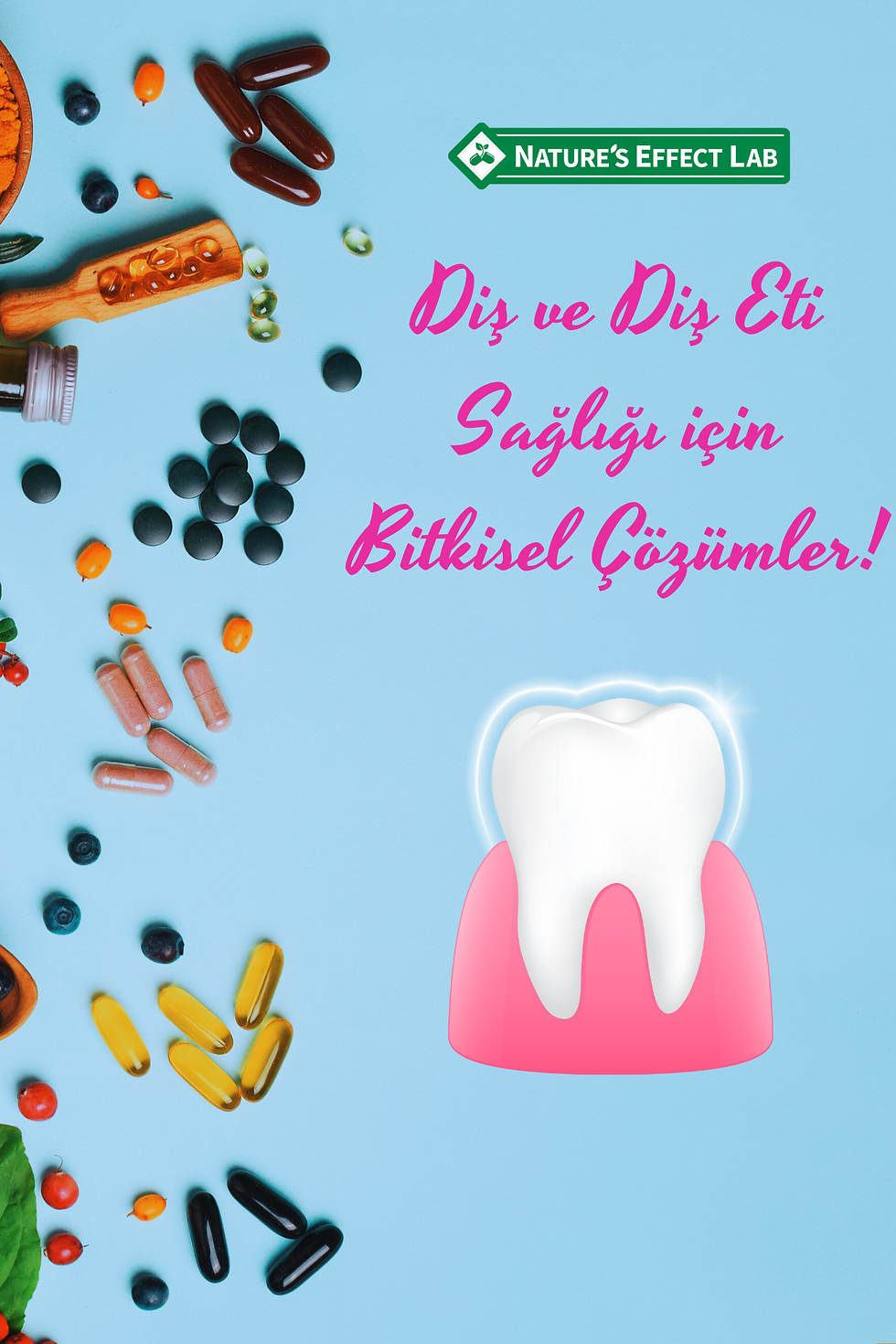 Küçük resim: Diş ve Diş Eti Sağlığı