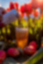 lifbtulip8.jpg