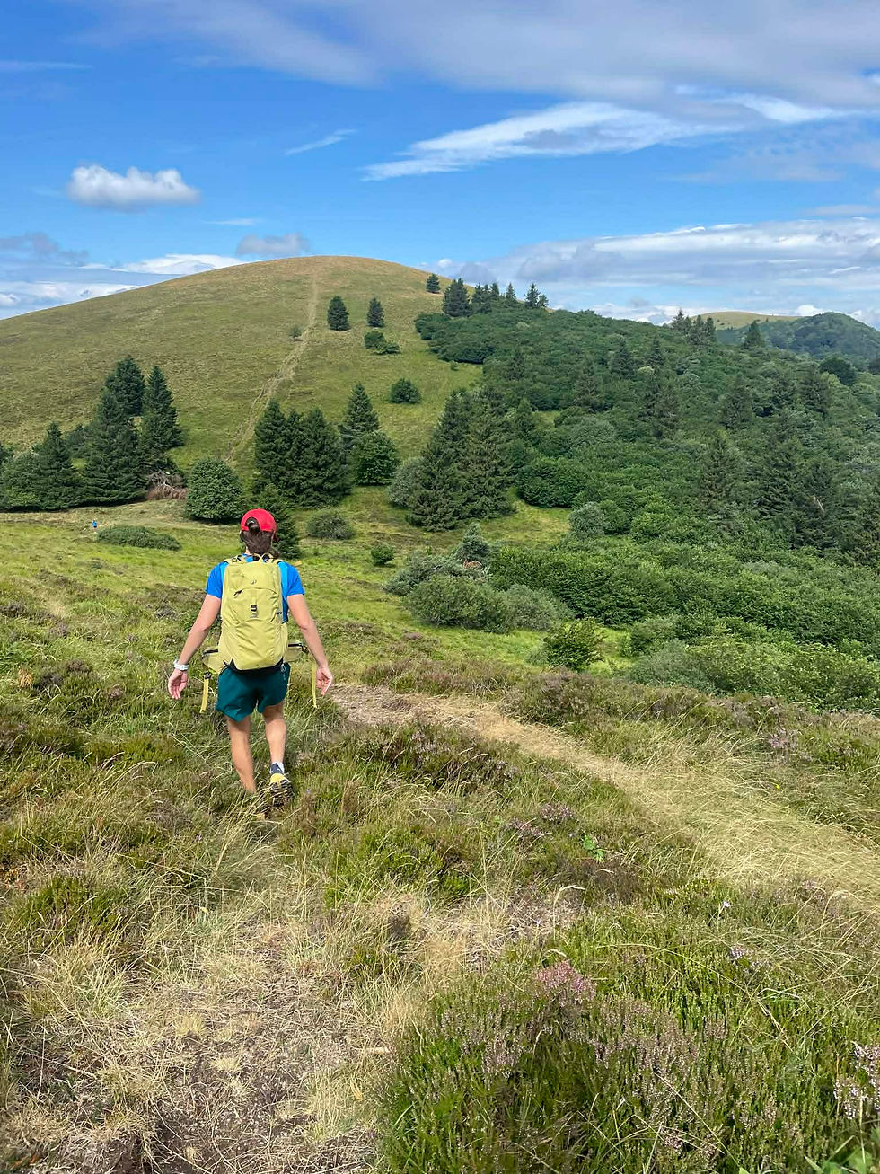 761db7f9-079f-4a35-af57-08727c9bfa82