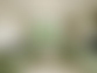 שיחה אחת על מטבח כפרי