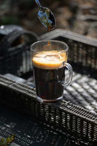 Tapatree Whole Maple for Coffee | Mysite