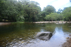 GRD_0000001997