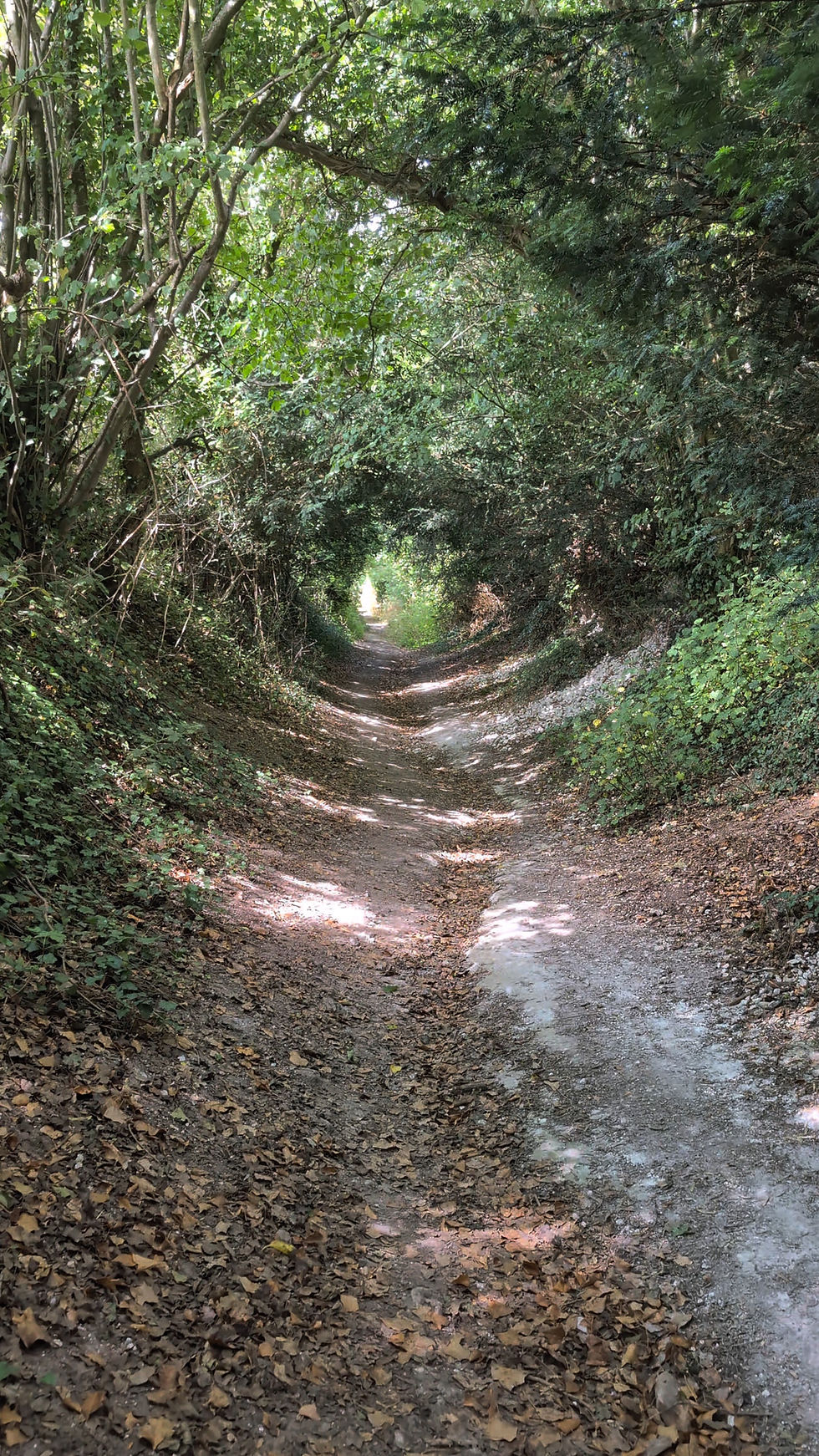 Walk an Ancient Holloway With Me...