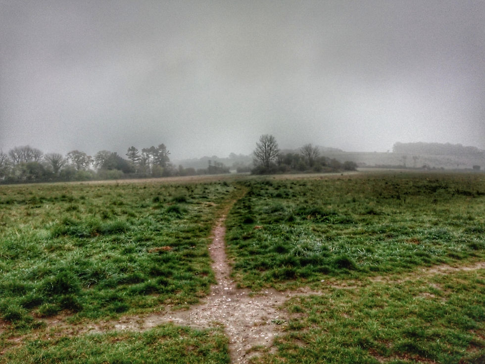 Winter scene of a path trodden crossroads with mist in the distance