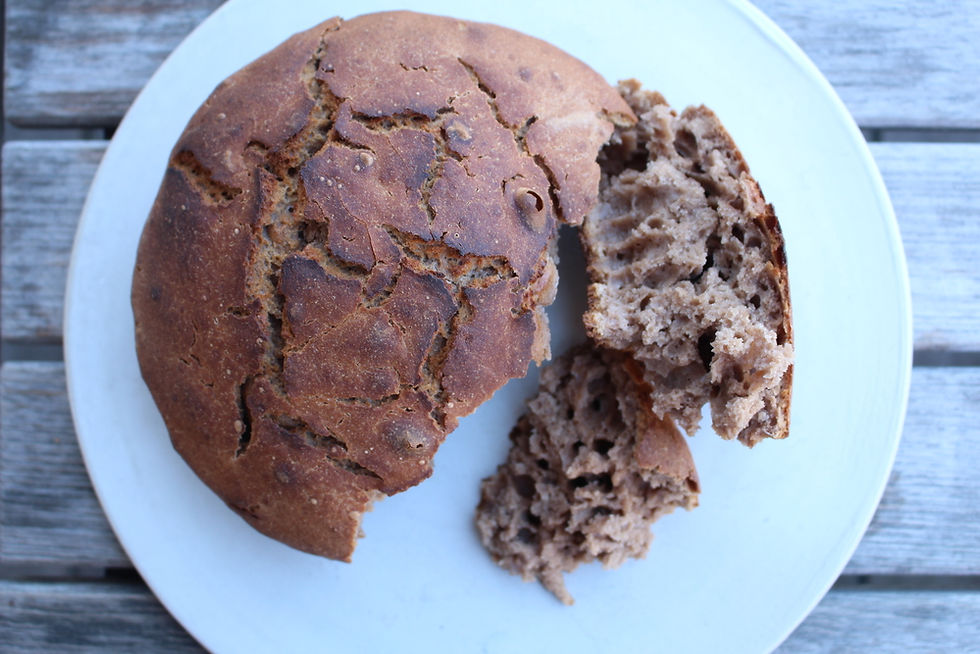 http://nordicfoodlab.org/blog/2015/11/24/tree-bark