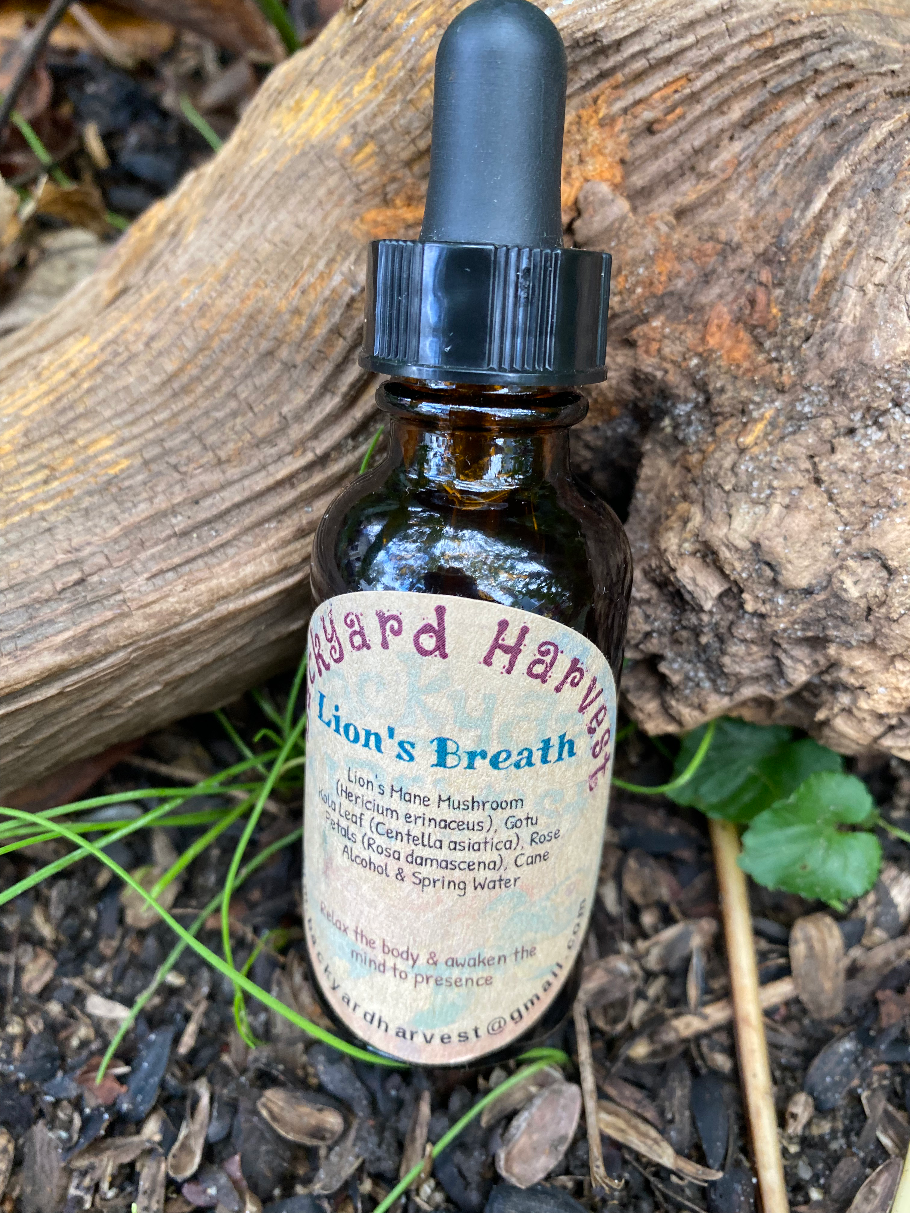 Lion's Breath Tincture
