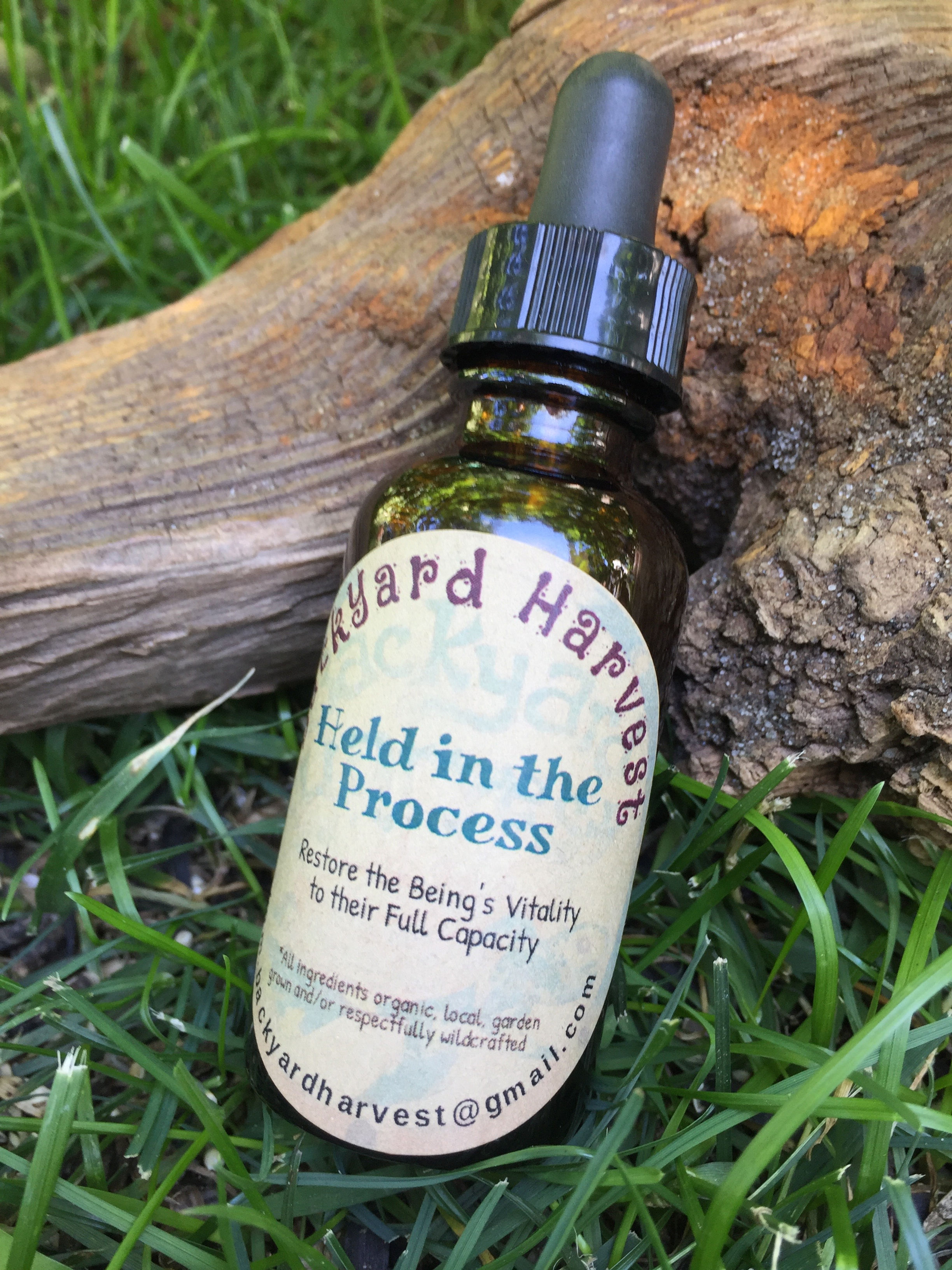 Held in Support Tincture