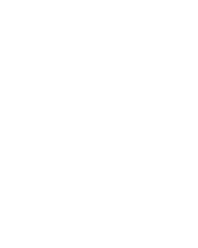 sneeuw.png