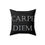 Thumbnail: Carpe Diem Square Pillow