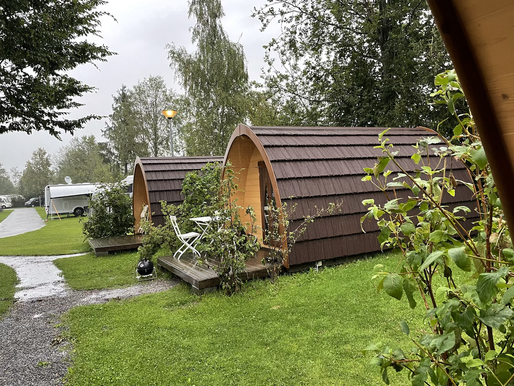 Regen und Insektenstiche