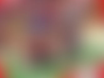 Seasons Greetings from this bumbling crew!