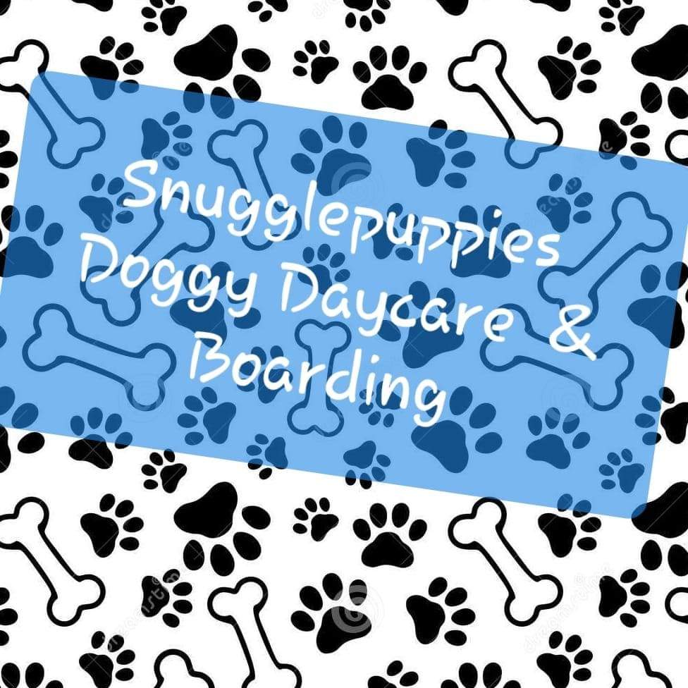 Writer: Snugglepuppies
