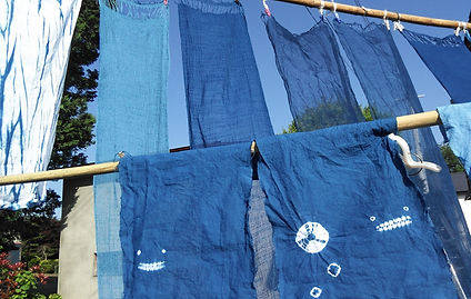 DSC_0311-2.jpg