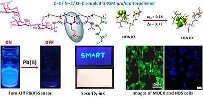 ACS%20Applied%20Bio%20Materials%2C%20202